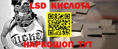 гидра Будённовск