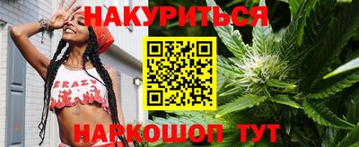 гидра Будённовск