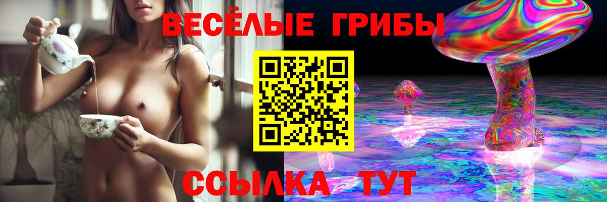 Галлюциногенные грибы GOLDEN TEACHER  Галлюциногенные грибы прущие грибы  Вход с VPN  Узловая 
